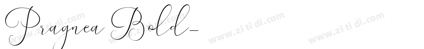 Pragnea Bold字体转换